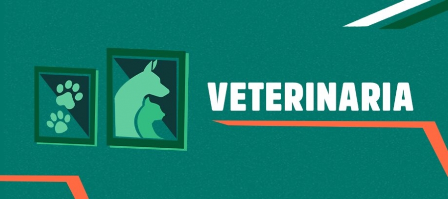 Veterinaria