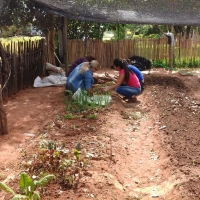 Métodos de Control Preventivos en Producción Vegetal 