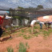 Métodos de Control Preventivos en Producción Vegetal 
