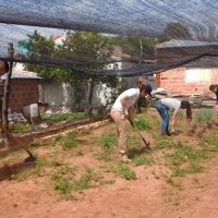 Métodos de Control Preventivos en Producción Vegetal 