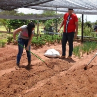 Métodos de Control Preventivos en Producción Vegetal 