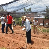 Métodos de Control Preventivos en Producción Vegetal 