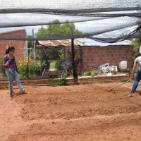 Métodos de Control Preventivos en Producción Vegetal 