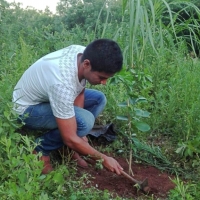 Trabajo de Campo en IPTA San Lorenzo