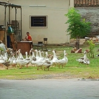 Visita a Unidad Penitenciaria Industrial Esperanza