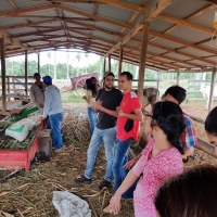 Prácticas de Agronomía en el Rancho Corderito