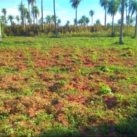 Prácticas de Agronomía en el Rancho Corderito