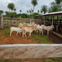 Prácticas de Agronomía en el Rancho Corderito
