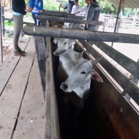 Salida de Campo a Estancia Loma Paraíso, San José de los Arr