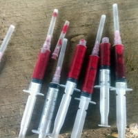 Salida de Campo a Estancia Loma Paraíso, San José de los Arr