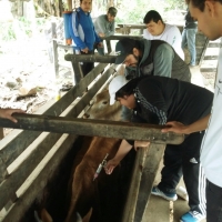 Salida de Campo a Estancia Loma Paraíso, San José de los Arr