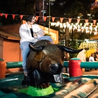 Volver a vernos 2022