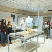 Inicio Veterinaria TM