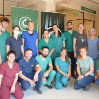 Curso de Ovariosalpingohisterectomia