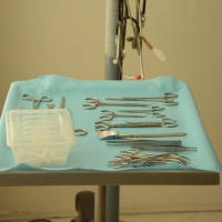 Curso de Ovariosalpingohisterectomia