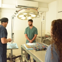 Curso de Ovariosalpingohisterectomia