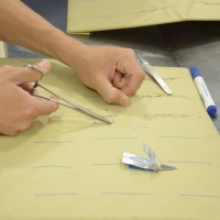 Curso de Ovariosalpingohisterectomia