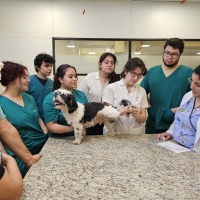 Jornada de Vacunación Antirrábica en la Universidad Columbia