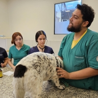 Jornada de Vacunación Antirrábica en la Universidad Columbia