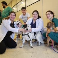 Jornada de Vacunación Antirrábica en la Universidad Columbia