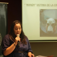 Ing. en Informática: Perdiendo el miedo de hablar en público