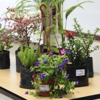 Charlas de Arquitectura