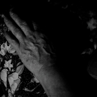 Cinematografía - Financial Times