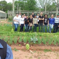 Prácticas Horticultura