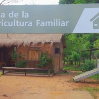 Prácticas Horticultura