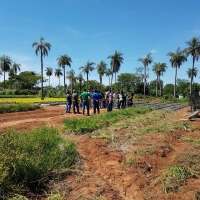 Cátedra de Horticultura en  J.A. Saldívar