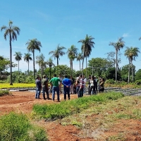 Cátedra de Horticultura en  J.A. Saldívar