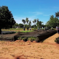 Cátedra de Horticultura en  J.A. Saldívar