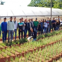 Cátedra de Horticultura en  J.A. Saldívar