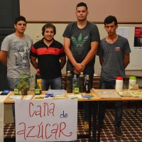 Exposición de Cultivos Perennes, Agronomía