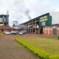 Visita Cooperativa Manduvirá