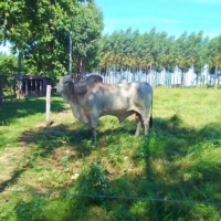 Visita al Establecimiento “Estancia La Emiliana”