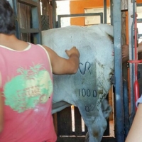 Visita al Establecimiento “Estancia La Emiliana”