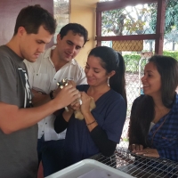 Estudiantes de Veterinaria realizan prácticas de Cunicultura