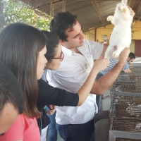 Estudiantes de Veterinaria realizan prácticas de Cunicultura
