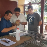 Estudiantes de Veterinaria realizan prácticas de Cunicultura