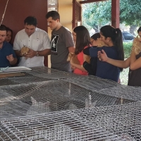 Estudiantes de Veterinaria realizan prácticas de Cunicultura