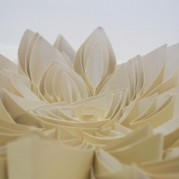 Tema: Diseño Bi / Tri Dimensional | Docente: Lissa Villamayor | Alumno: Victoria Ruiz Diaz | Año 2017