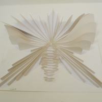 Tema: Diseño Bi / Tri Dimensional | Docente: Lissa Villamayor | Alumno: Luana Insfrán | Año 2017