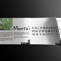 Tema: diseño de alfabeto para títulos | Docente: Miguel del Puerto | Alumna: Yessica Yegros | Lenguaje Visual VI: Tipografía II | Año 2015