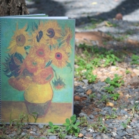 Impresionismo: Van Gogh | Docente: Miguel Sequera | Alumna: Melissa Benítez | Lenguaje Visual II: Ilustración I | Año 2017