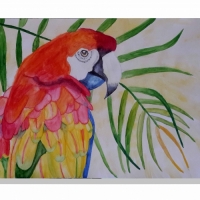Tema: ilustración | Docente: Lidia Sánchez | Alumna: Myrian González | Lenguaje Visual I: Dibujo Técnico | Año 2015
