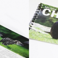 Tema: Revista Tema Libre | Docente: Amparito Gimenez  | Alumno: David Moral | Año: 2016