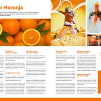 Trabajos de la Cátedra CV3: Diseño Editorial 1