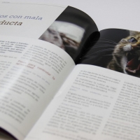 Tema: Revista Tema Libre | Docente: Amparito Gimenez  | Alumno: Mathias Lataza | Año: 2016