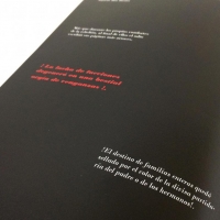 Tema: Libro "El Prisionero" | Docente: Yonita Muñoz  | Alumnos: Victor Vega, Ingrid Peñailillo | Año 2015